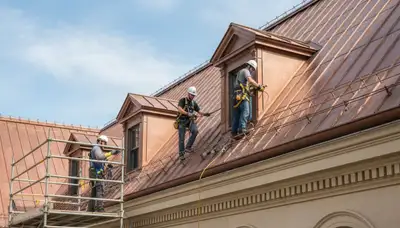 Bradenton, FL tree service installs lightning protection for trees and property