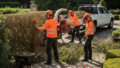 Bradenton, FL tree service crew removing overgrown shrubs with professional equipment
