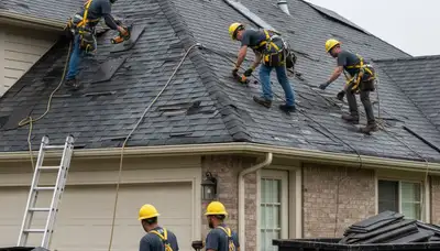 Bradenton, FL tree service crew clearing storm-damaged trees and debris from a property