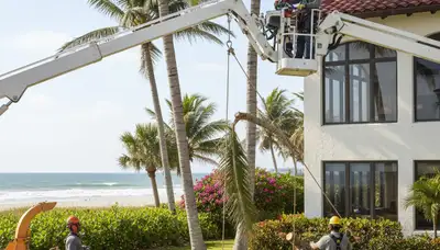 Tree service crew in Bradenton, FL performing professional tree trimming and removal safely