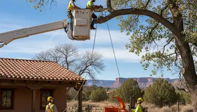 Tree service crew in Bradenton, FL providing professional tree care and removal services