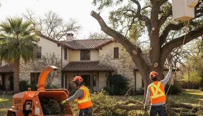 Tree service crew providing tree trimming and removal in Bradenton, FL